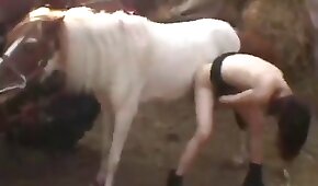 slut, animal fucks girl